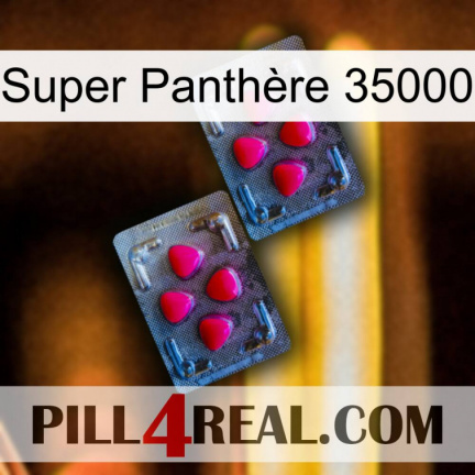 Super Panthère 35000 14
